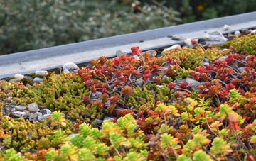 the cost of Gallowhill green roof installation