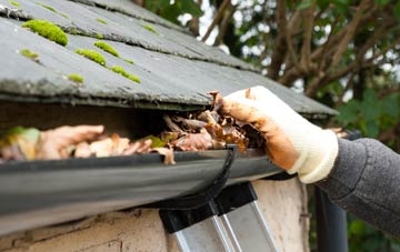 gutter cleaning Gallowhill