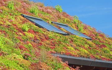 Gallowhill living roof systems