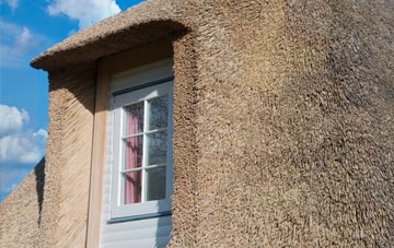 Gallowhill thatch roof disadvantages
