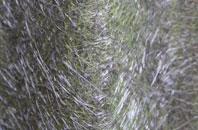 Gallowhill fibreglass roof work